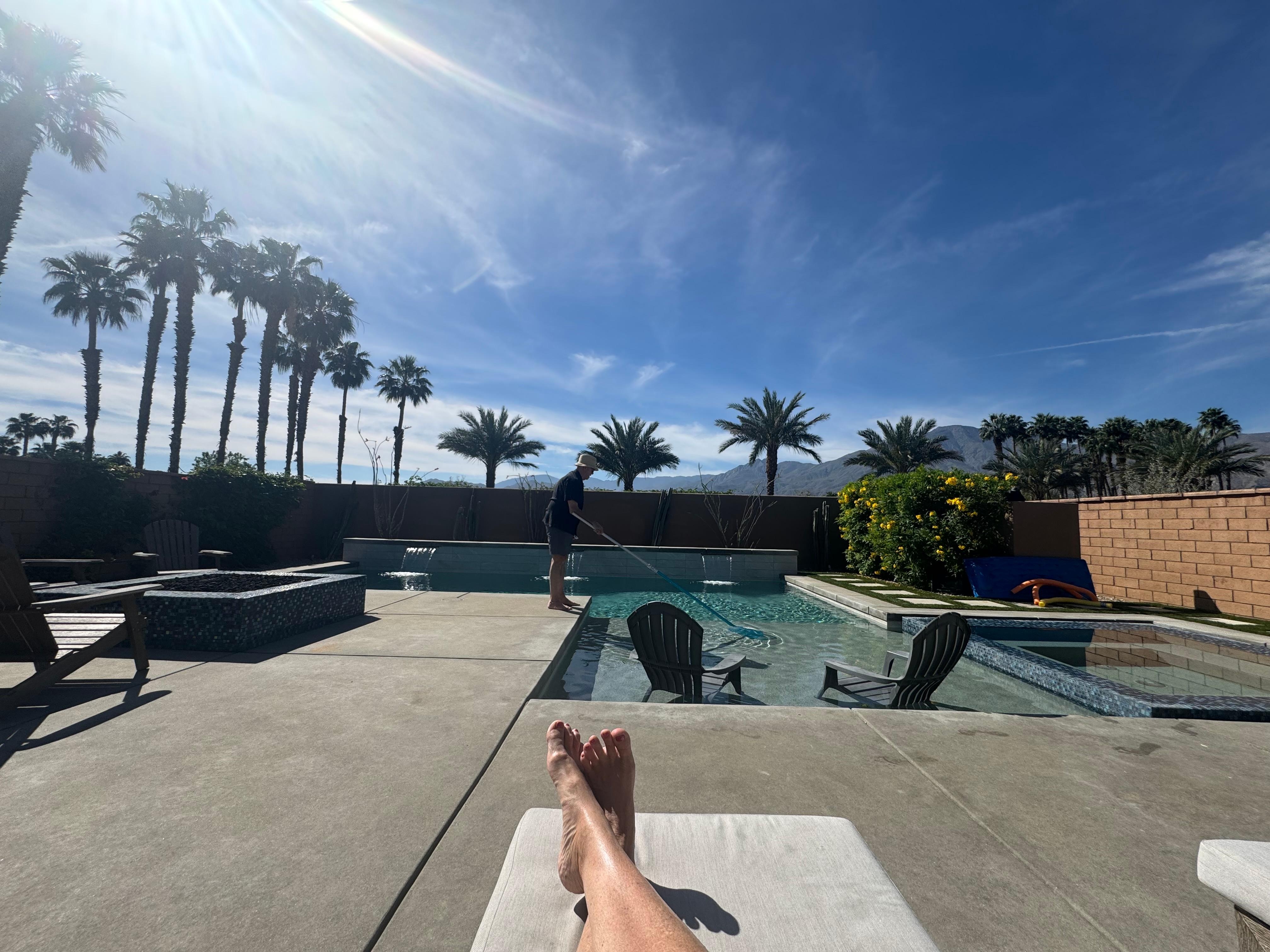 Love this view of the palm trees and mountains!