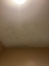 Molded ceiling