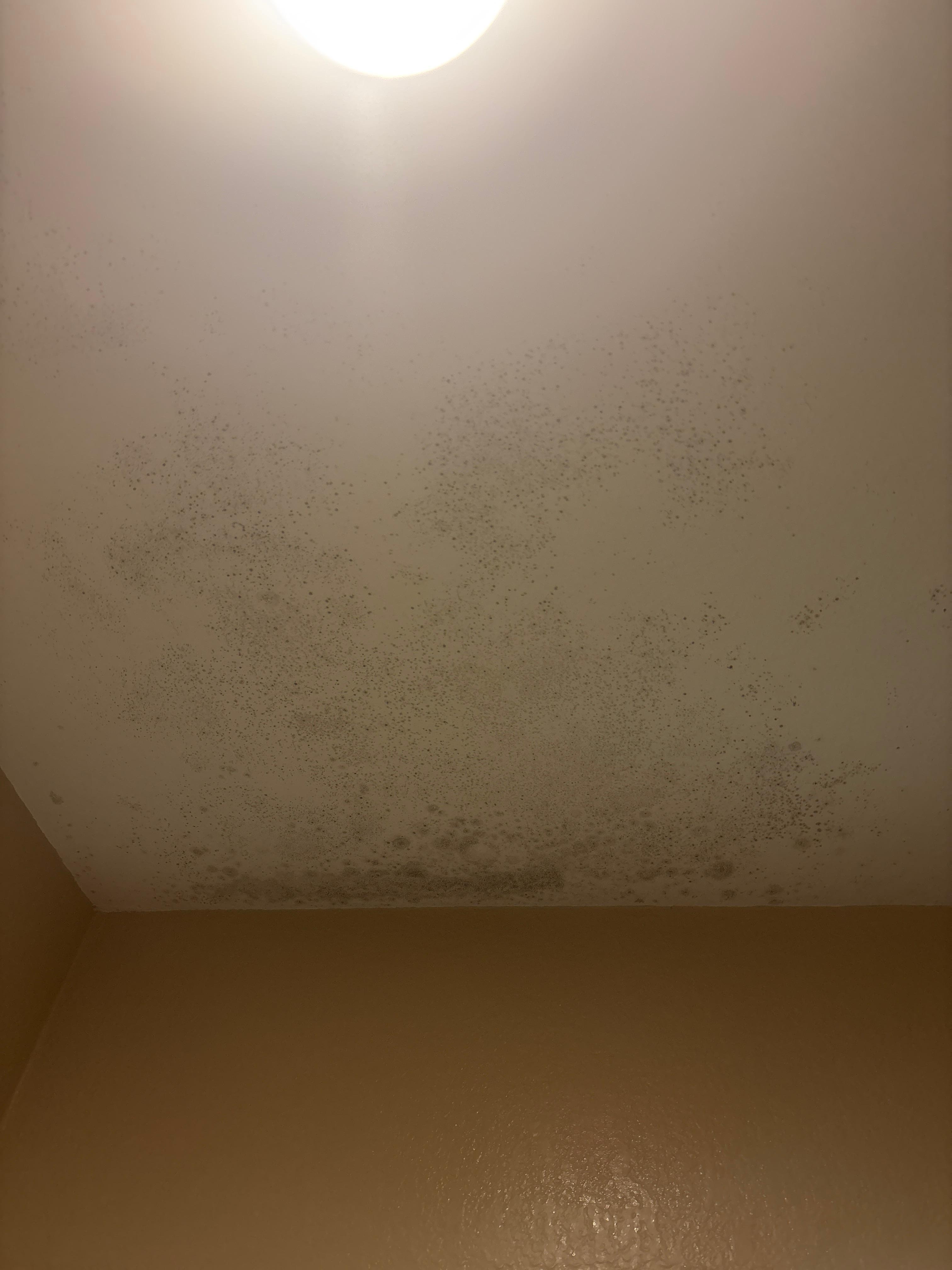Molded ceiling