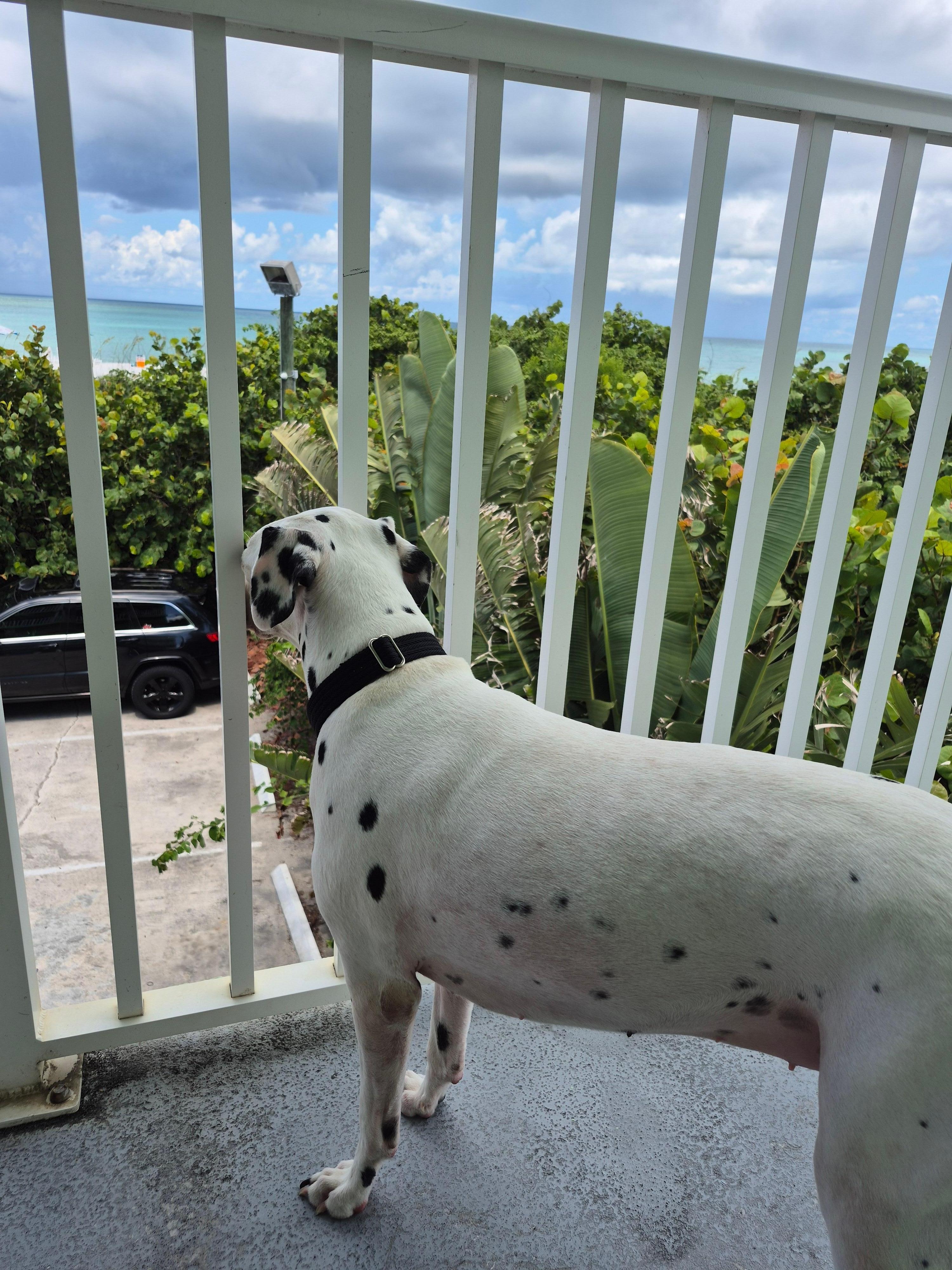 Maggie liked the view