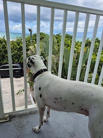 Maggie liked the view