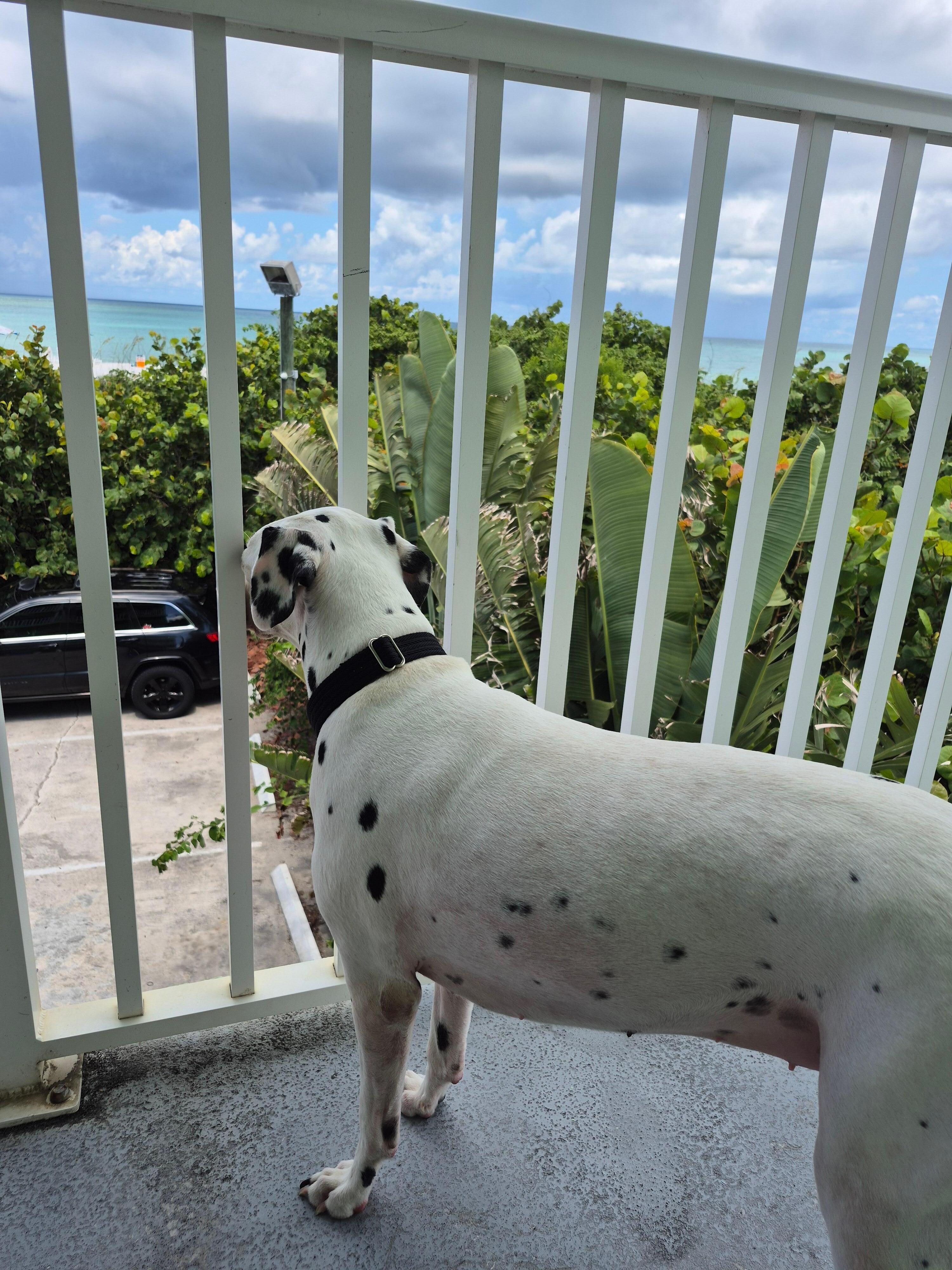 Maggie liked the view