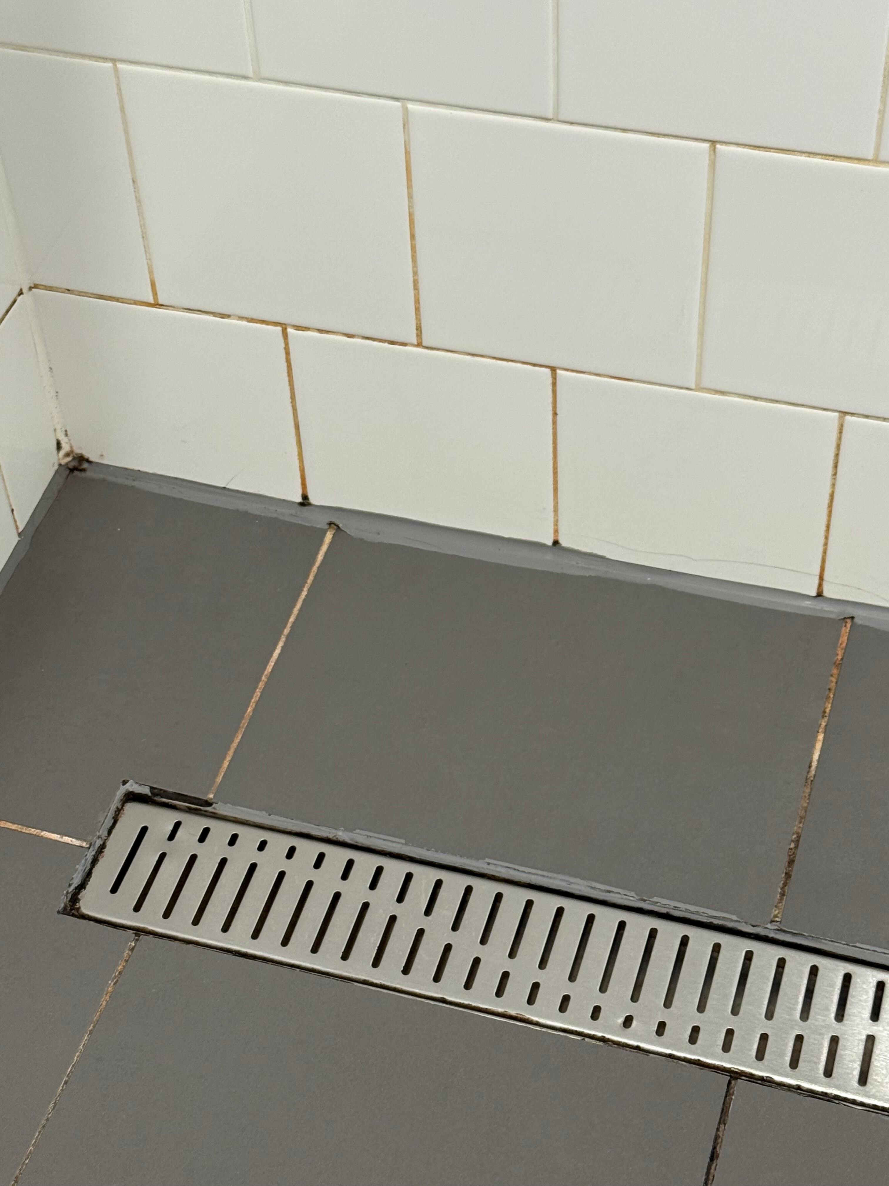 Black/pink mould contrasts with white grout, especially in corners