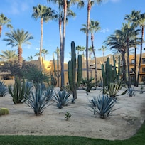 A photo of the grounds. They were maintained daily. Gorgeous.