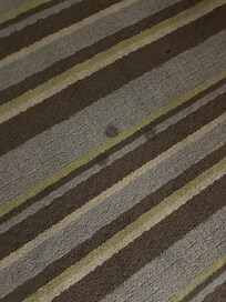 Black dirty spots all over the carpet