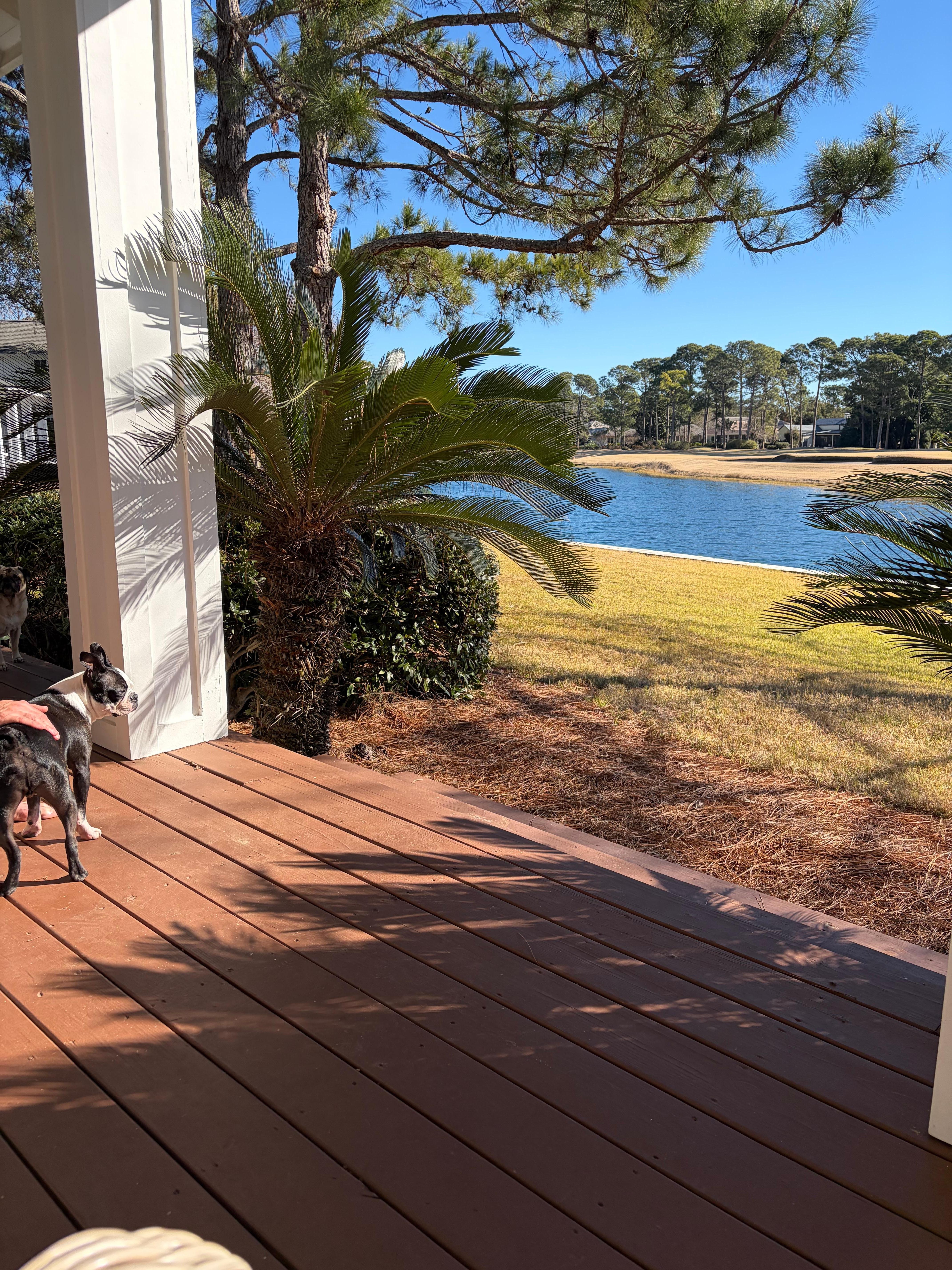 The view from the back porch is a pond and golf course. The morning sun there is so nice!