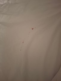 Dirty sheet( in which the laundry staff provide clean linens) Making up your own bed while travelling at this price per night. It should have been done correctly the first time.