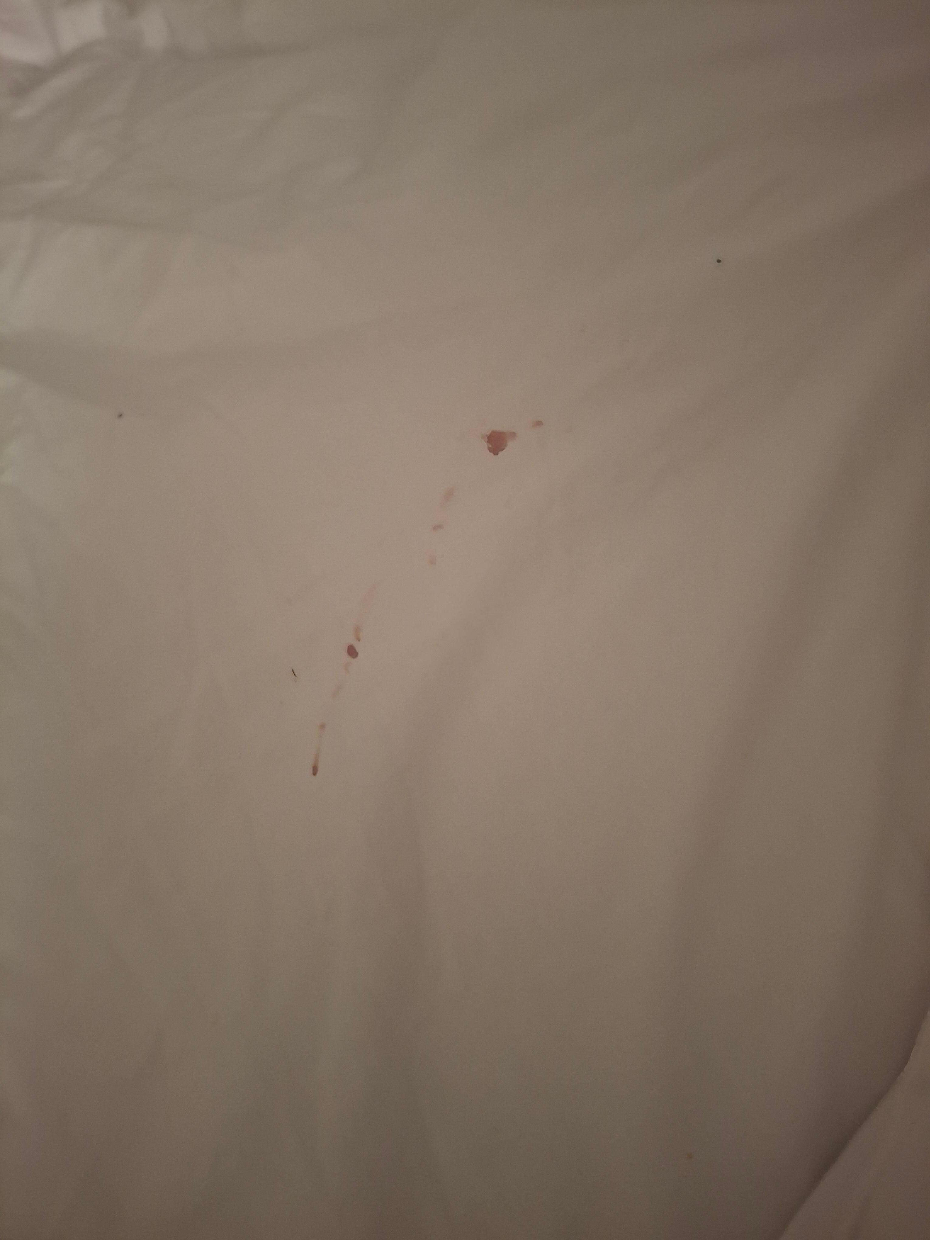 Dirty sheet( in which the laundry staff provide clean linens) Making up your own bed while travelling at this price per night. It should have been done correctly the first time.