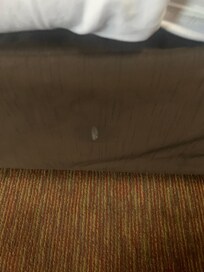 White substance on bedding