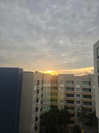 Bedroom window, morning view.