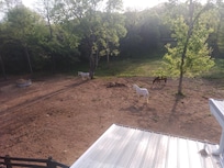 Our view from the deck overlooking the horses.