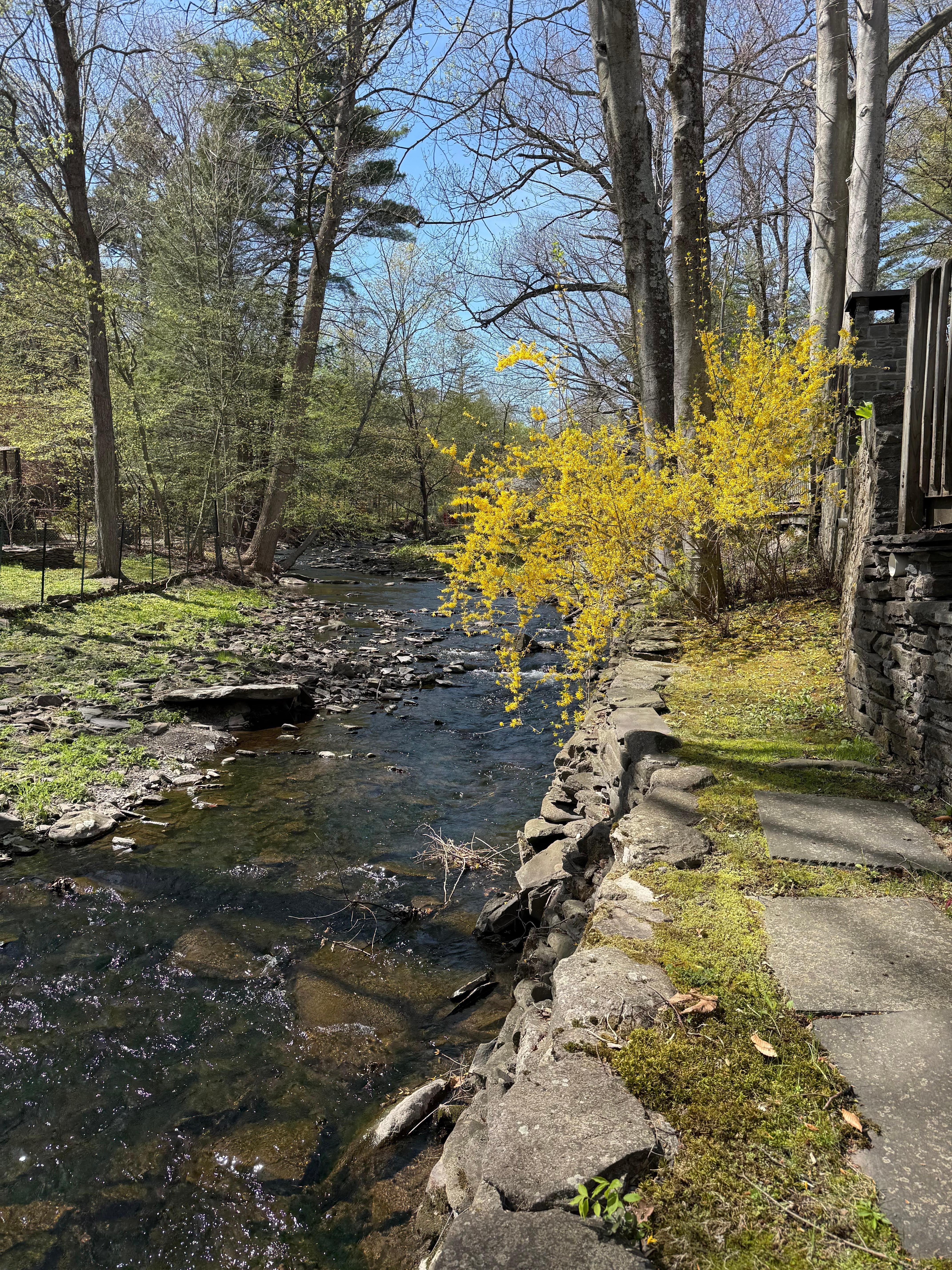The Brook behind the house that is so soothing to hear at night
