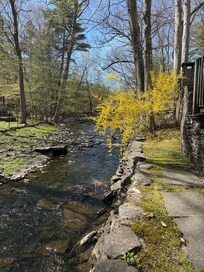 The Brook behind the house that is so soothing to hear at night