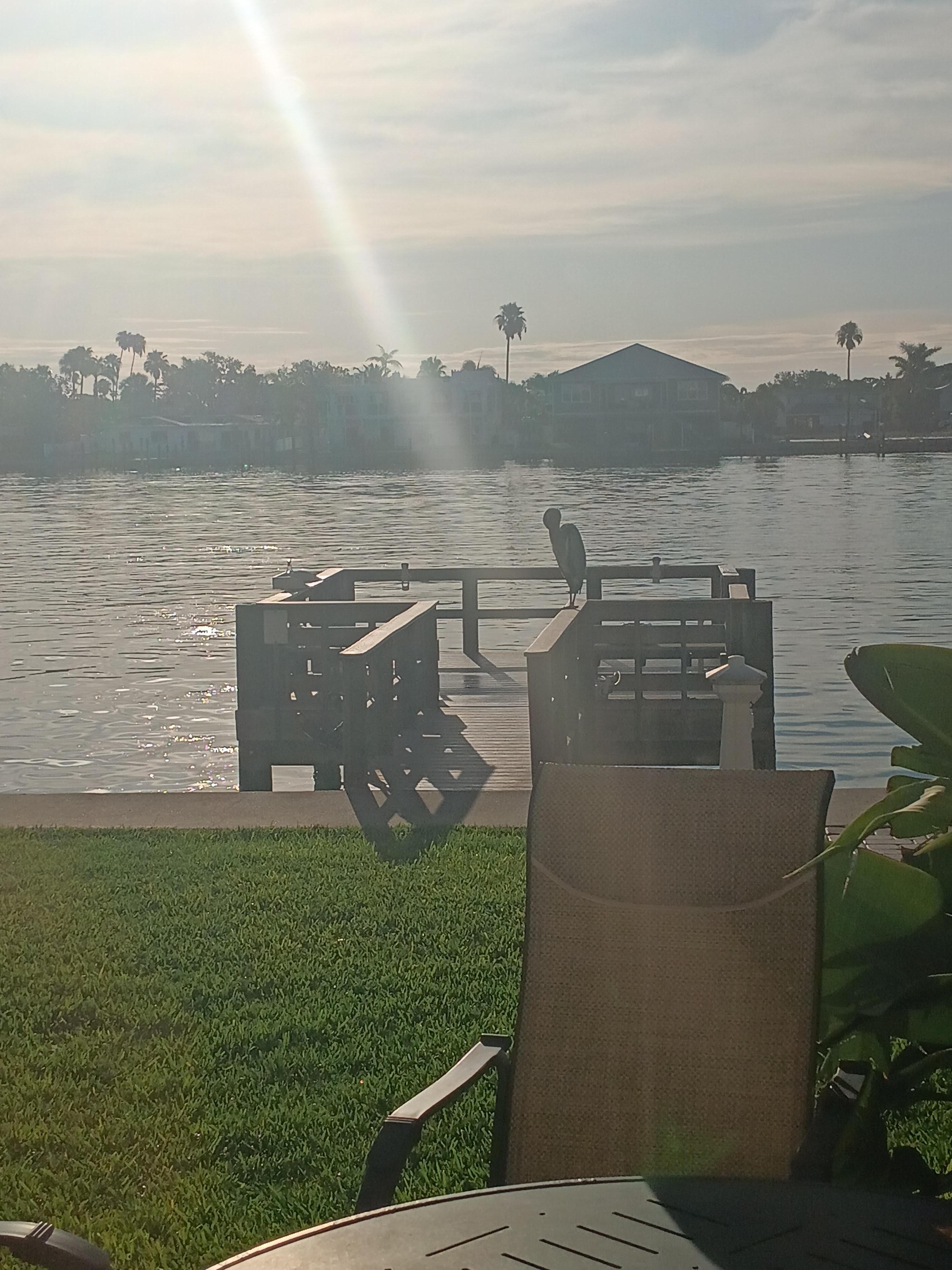 View out the back! 