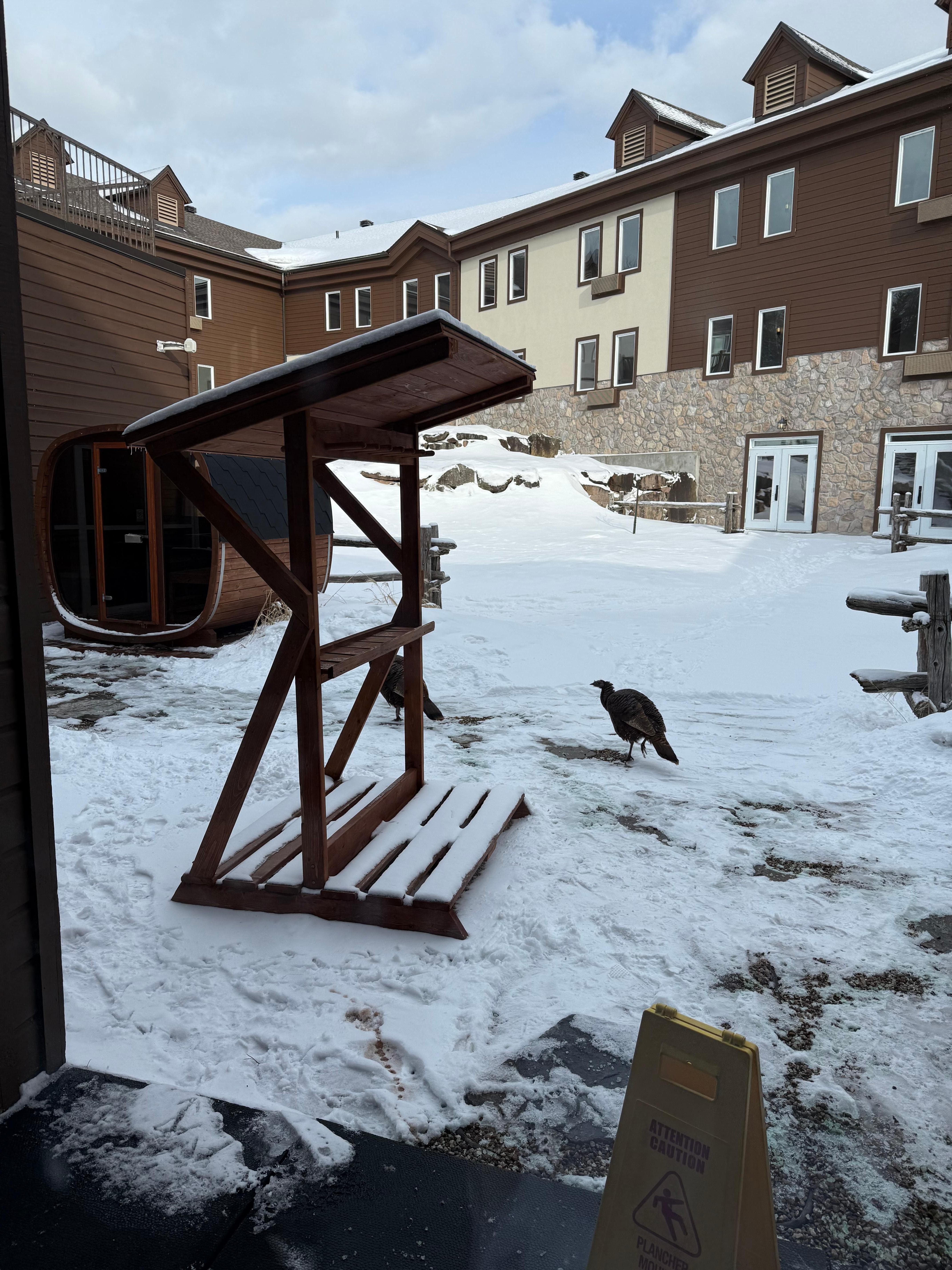 the outdoor spa is cool - there were wild turkeys walking around, which was neat