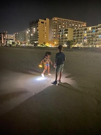 At night everyone is out looking for crabs, bring flashlights