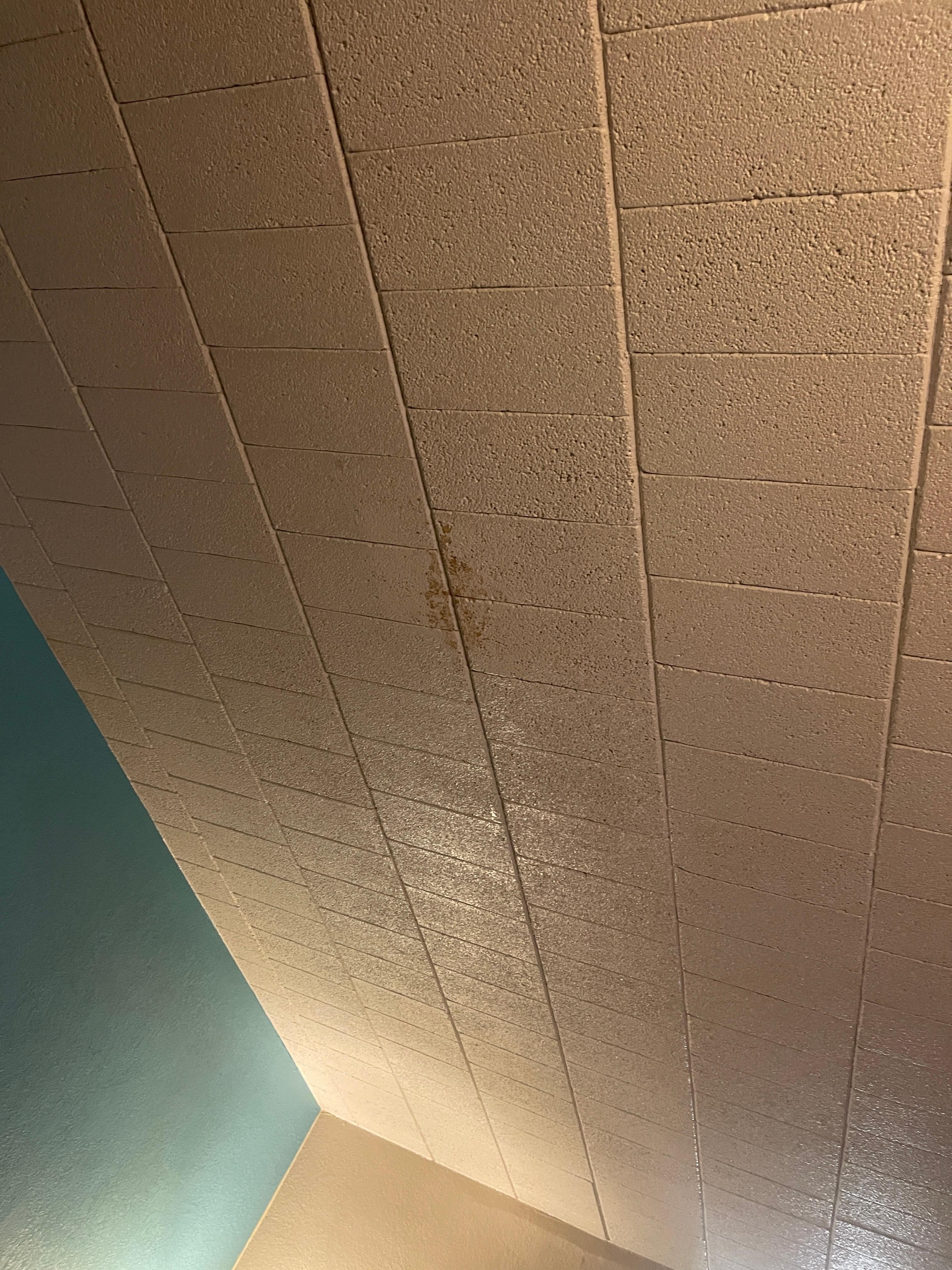 Blood splatter on the ceiling