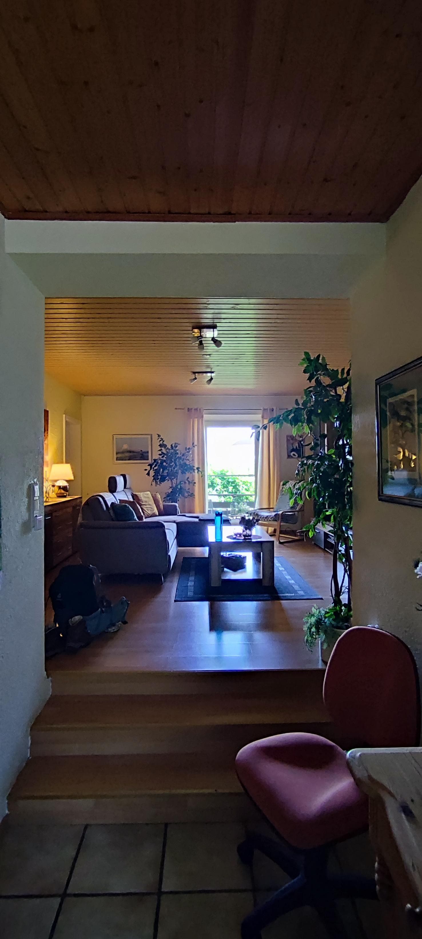 Gemütliches Wohnzimmer mit Schlafsofa. 