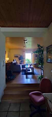 Gemütliches Wohnzimmer mit Schlafsofa.