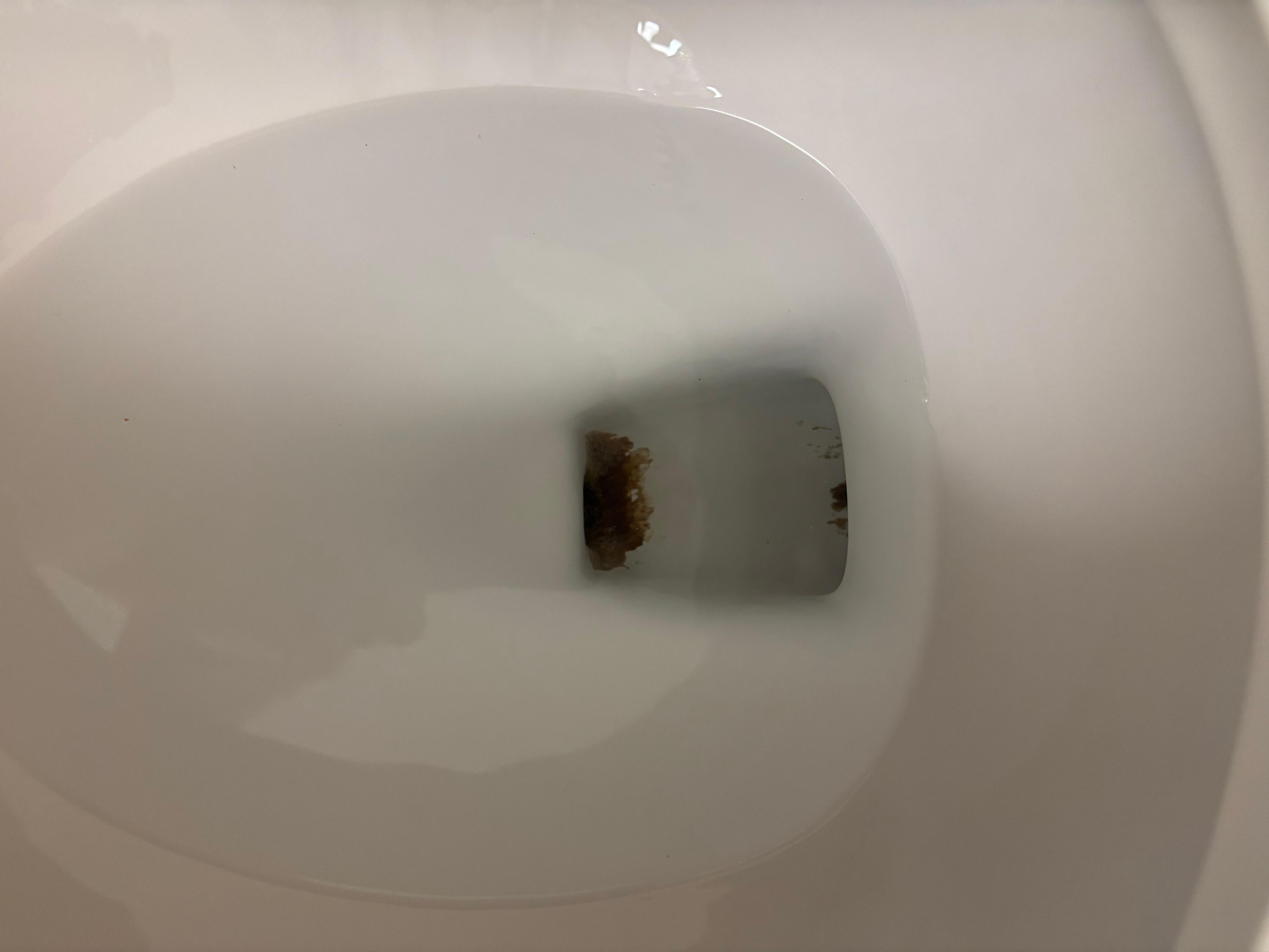 Toilet stains 