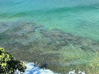 Sea turtle from the balcony