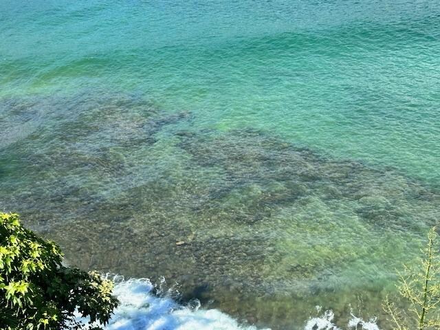 Sea turtle from the balcony