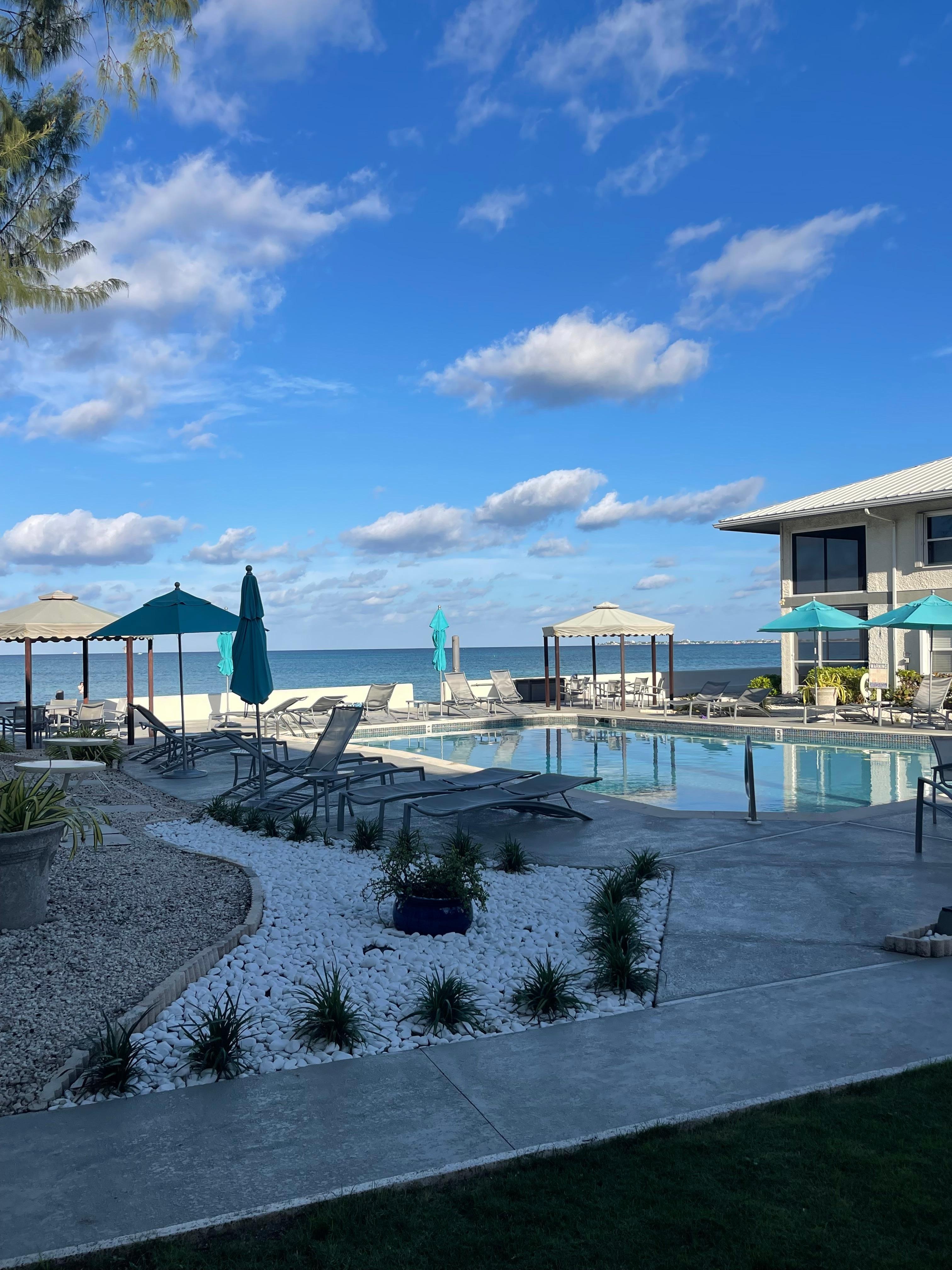 This is looking right outside the screened in patio. 