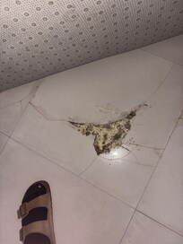 Hole in floor
