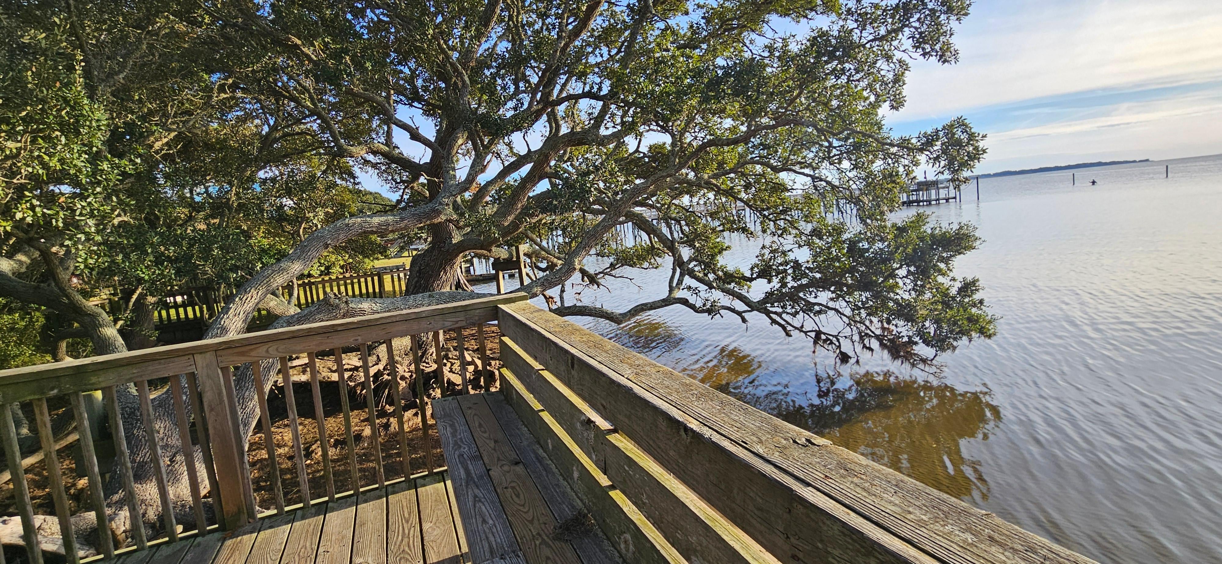 Along the walking trail near Wright Brothers memorial