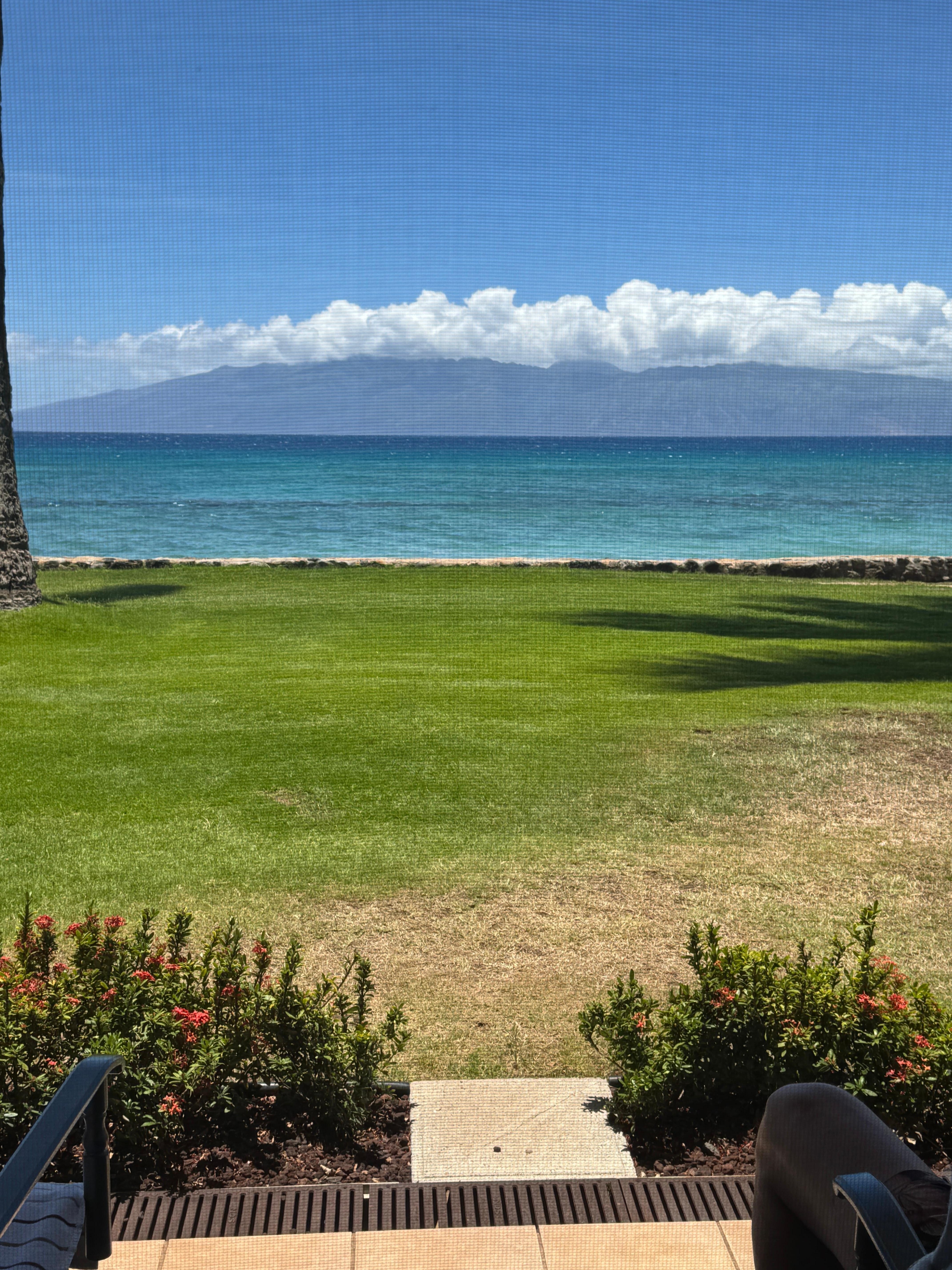 Just another day in paradise