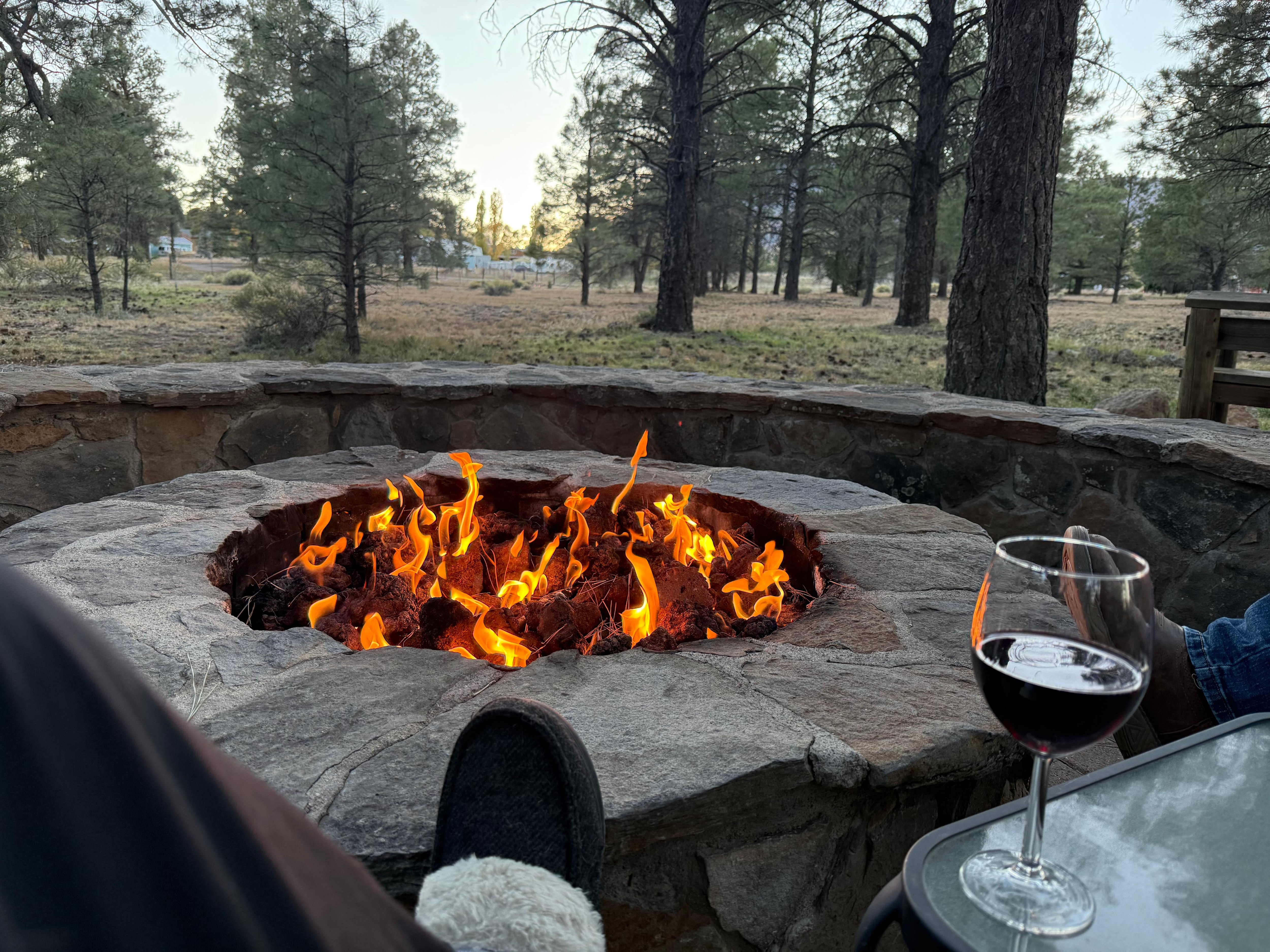 Sunset approaching… watching the elk meander by! 
