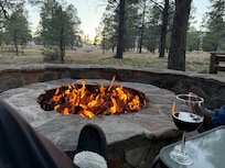 Sunset approaching… watching the elk meander by!