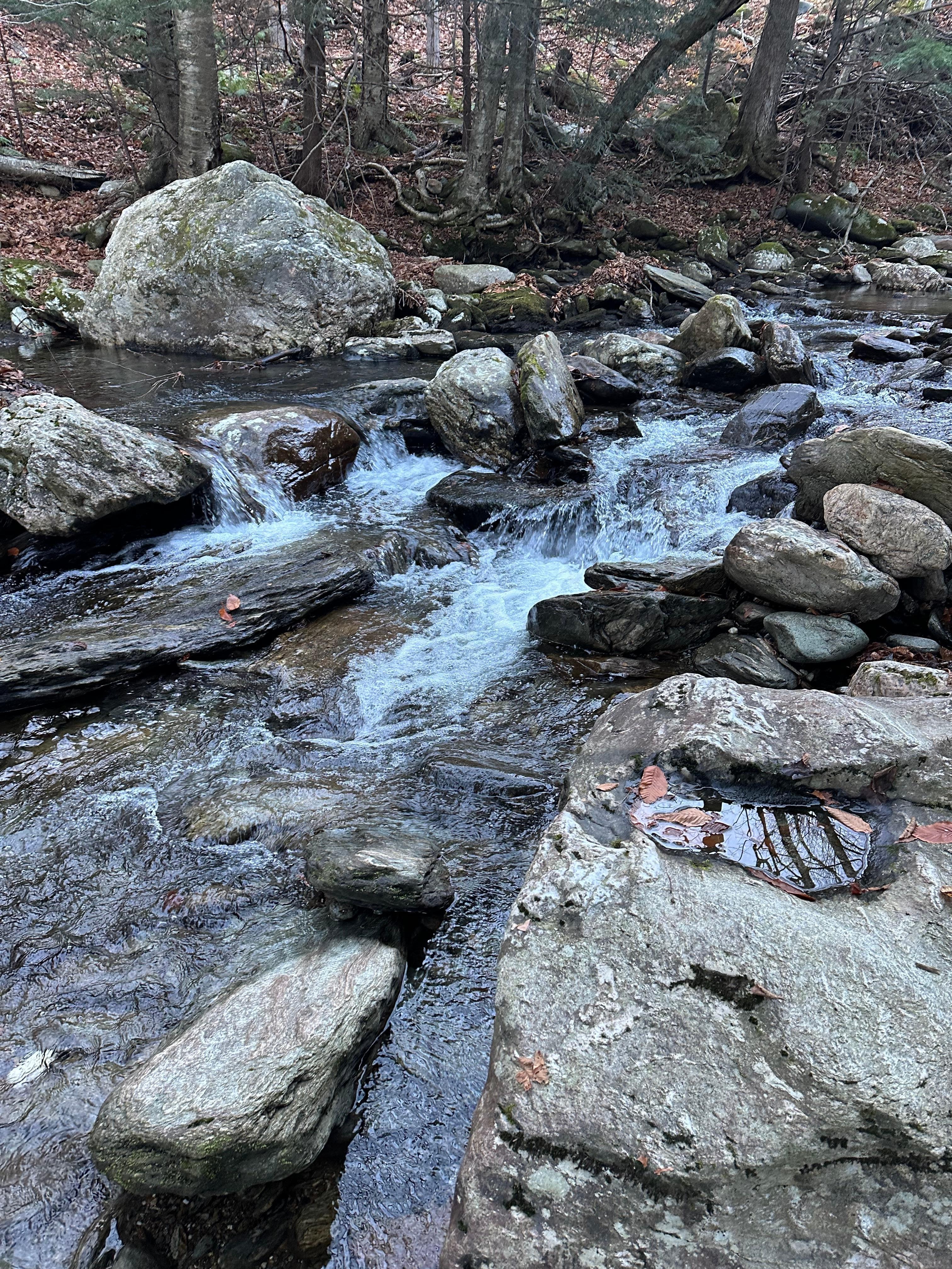 Brook behind the chalet 