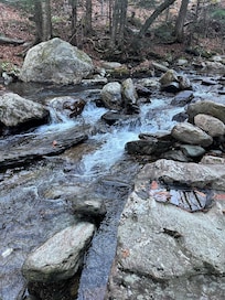 Brook behind the chalet
