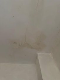 Damp and mould