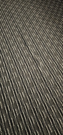 Carpet in main area