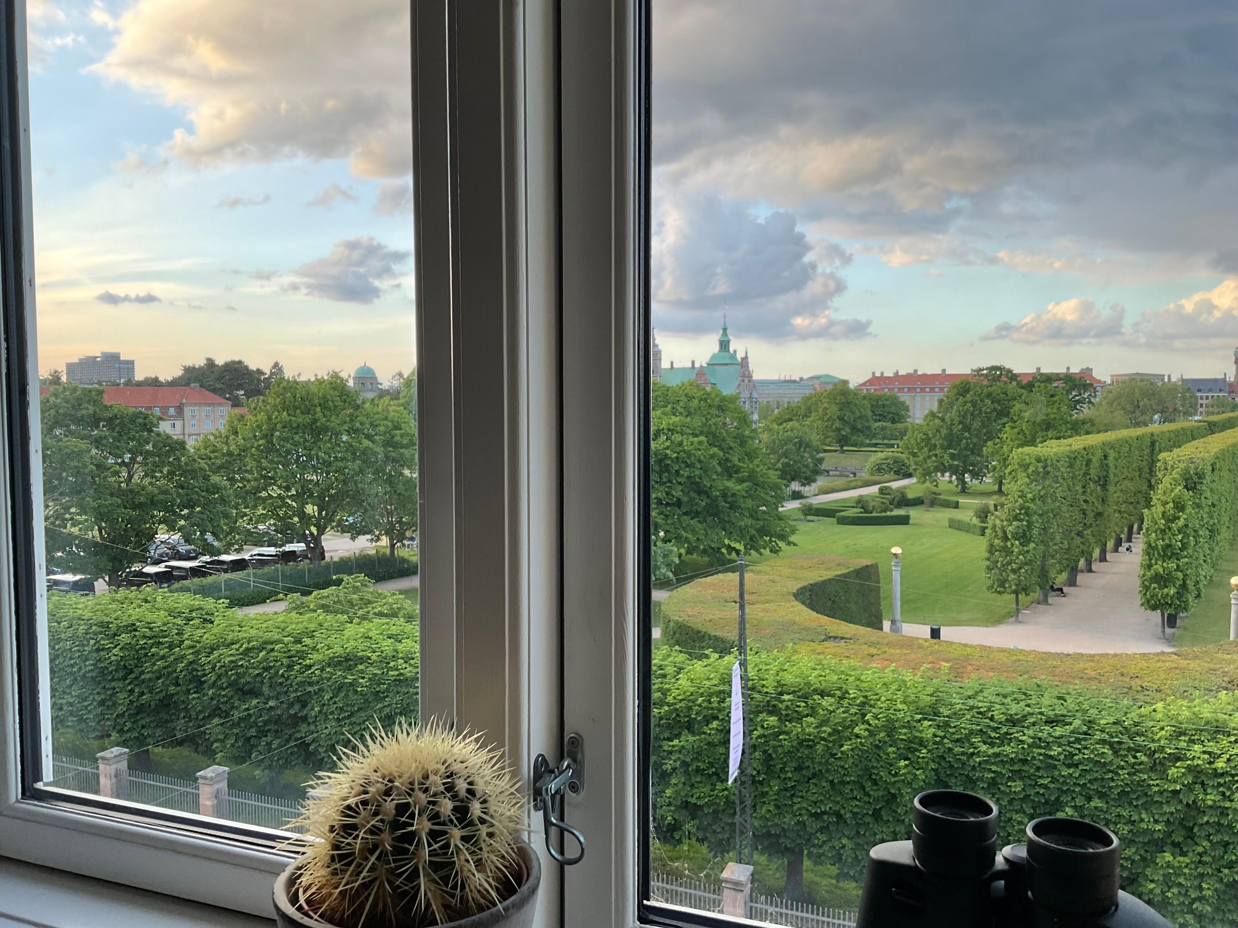 View from window