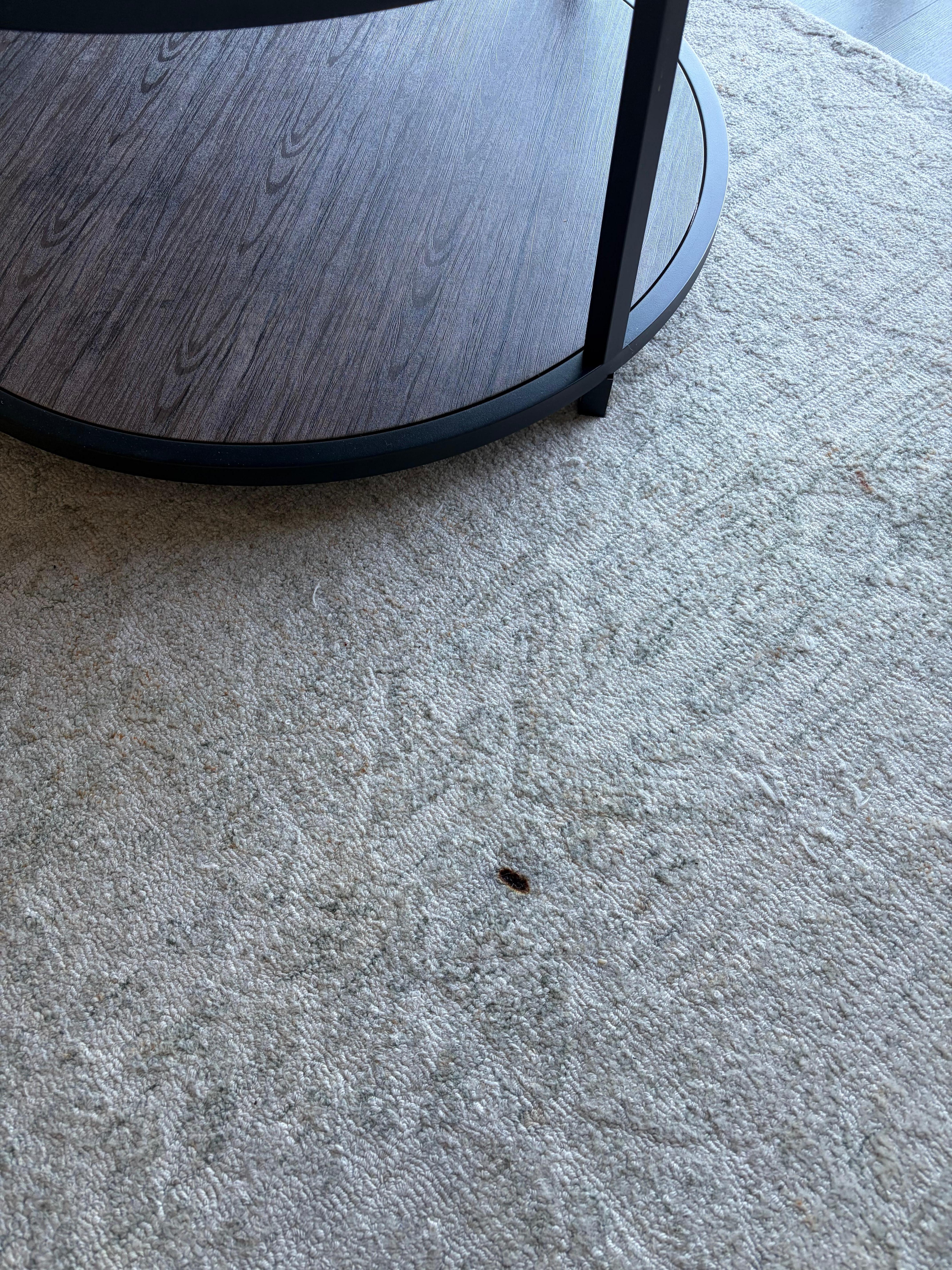 Looked like a burn mark on living room rug