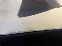 The bed cover the day I checked in