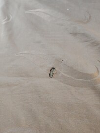 cigarette burn in non-smoking room