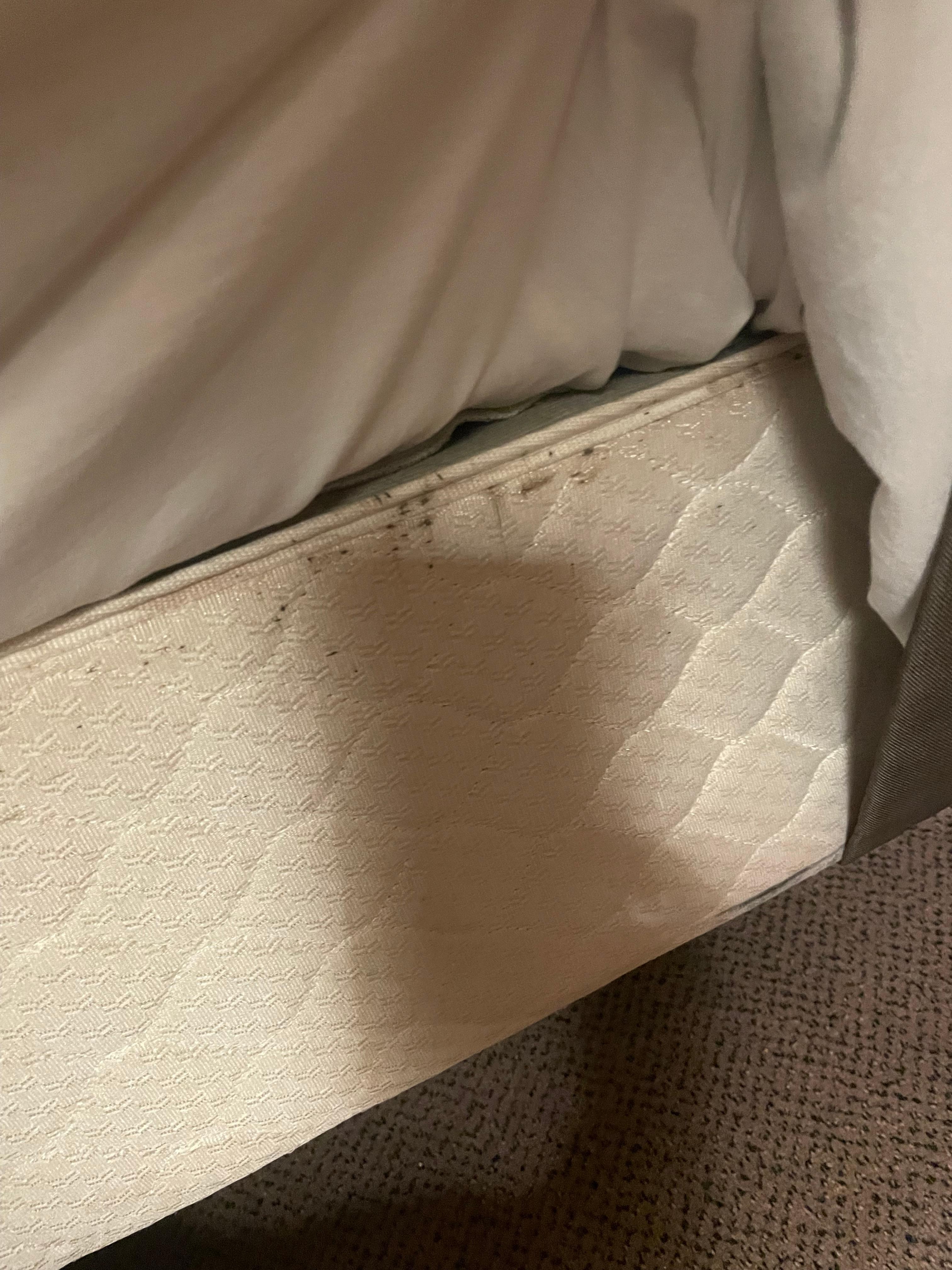 Bed bug markings on box spring