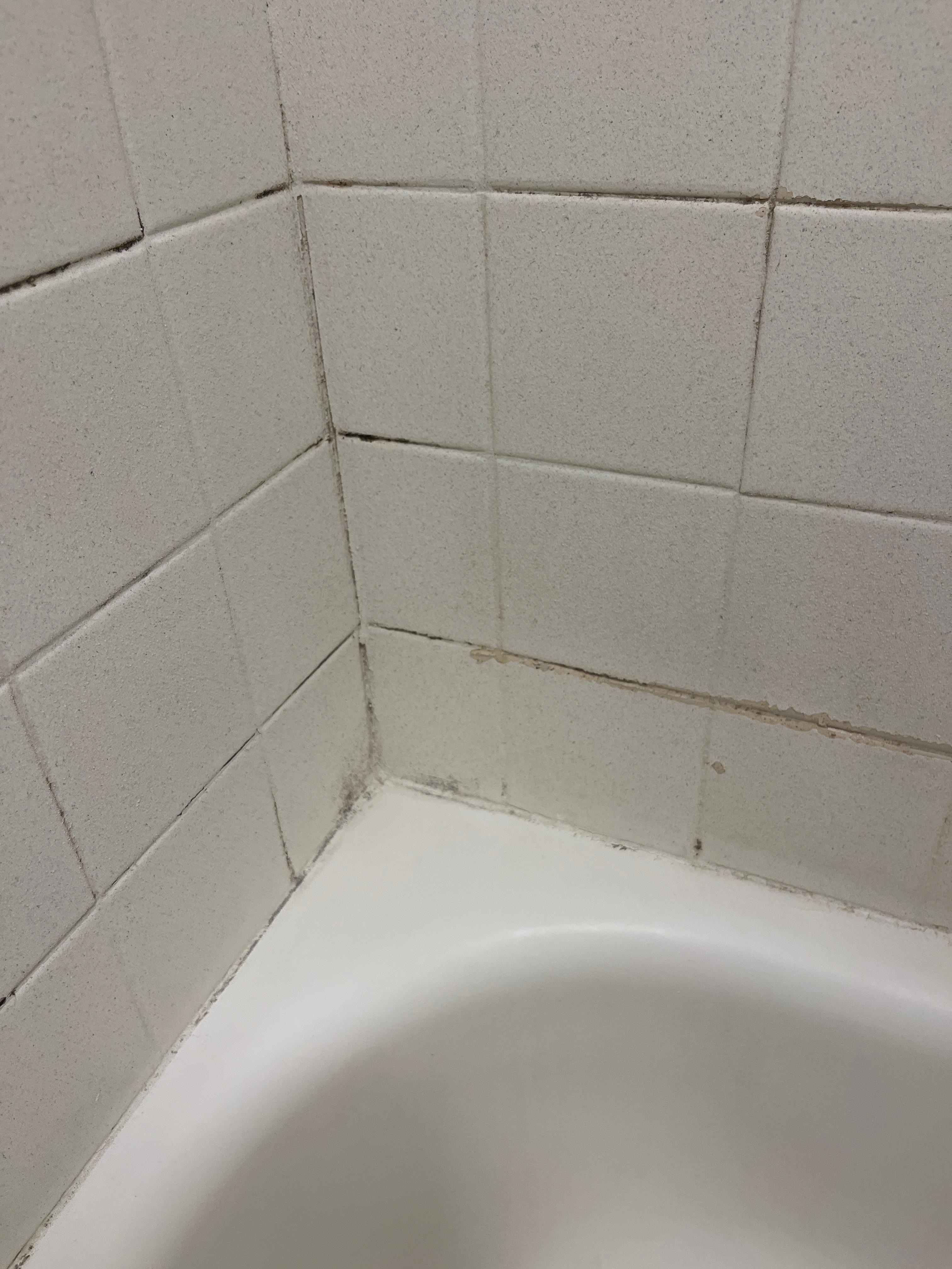 Moldy and dirty shower tiles. Needless to say, not taking a shower here. 