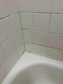 Moldy and dirty shower tiles. Needless to say, not taking a shower here.