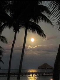 Another moonlight stroll