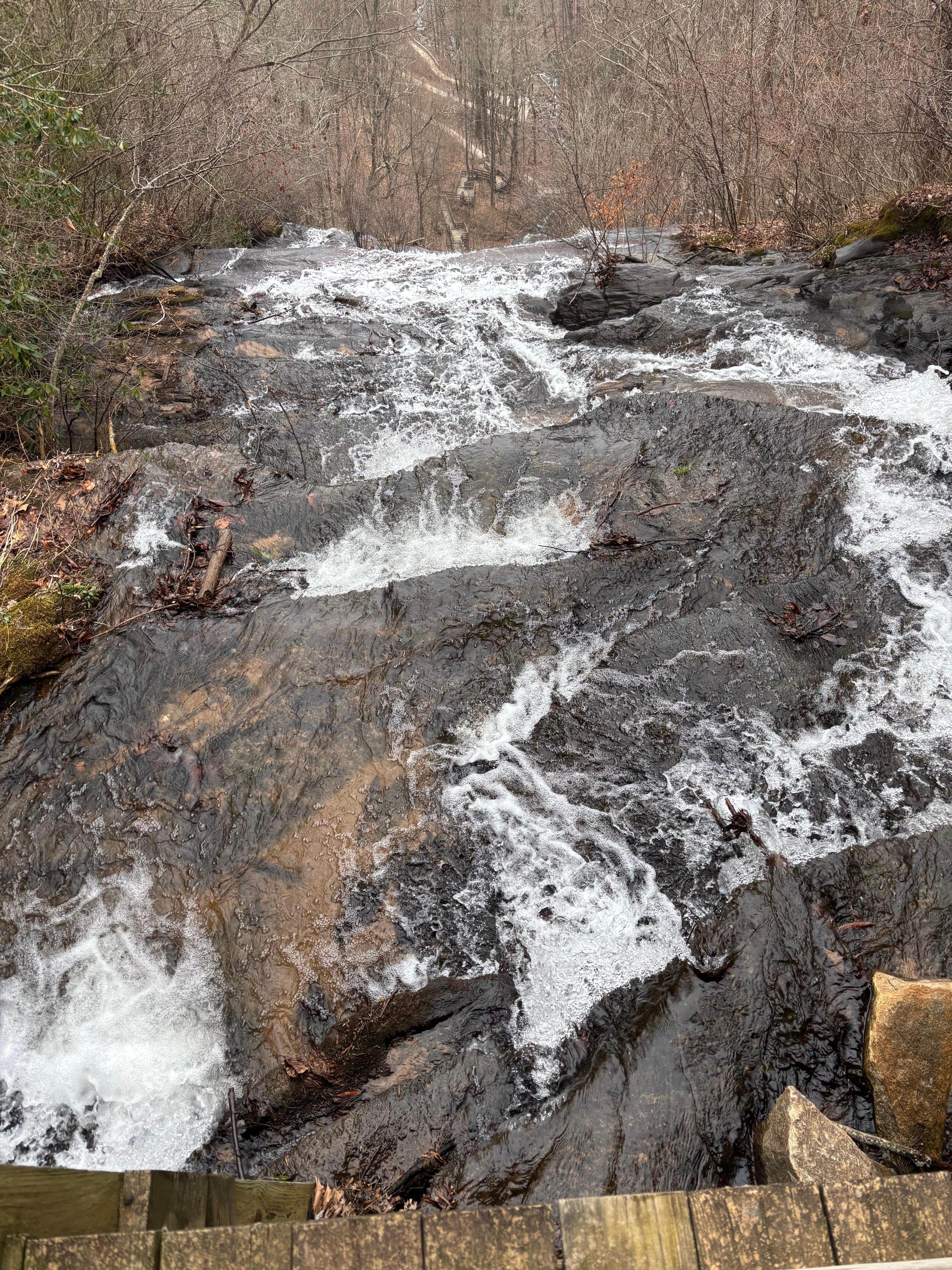 Amicalola State Park