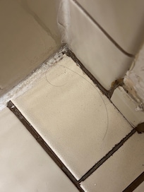 Hair on bath floor