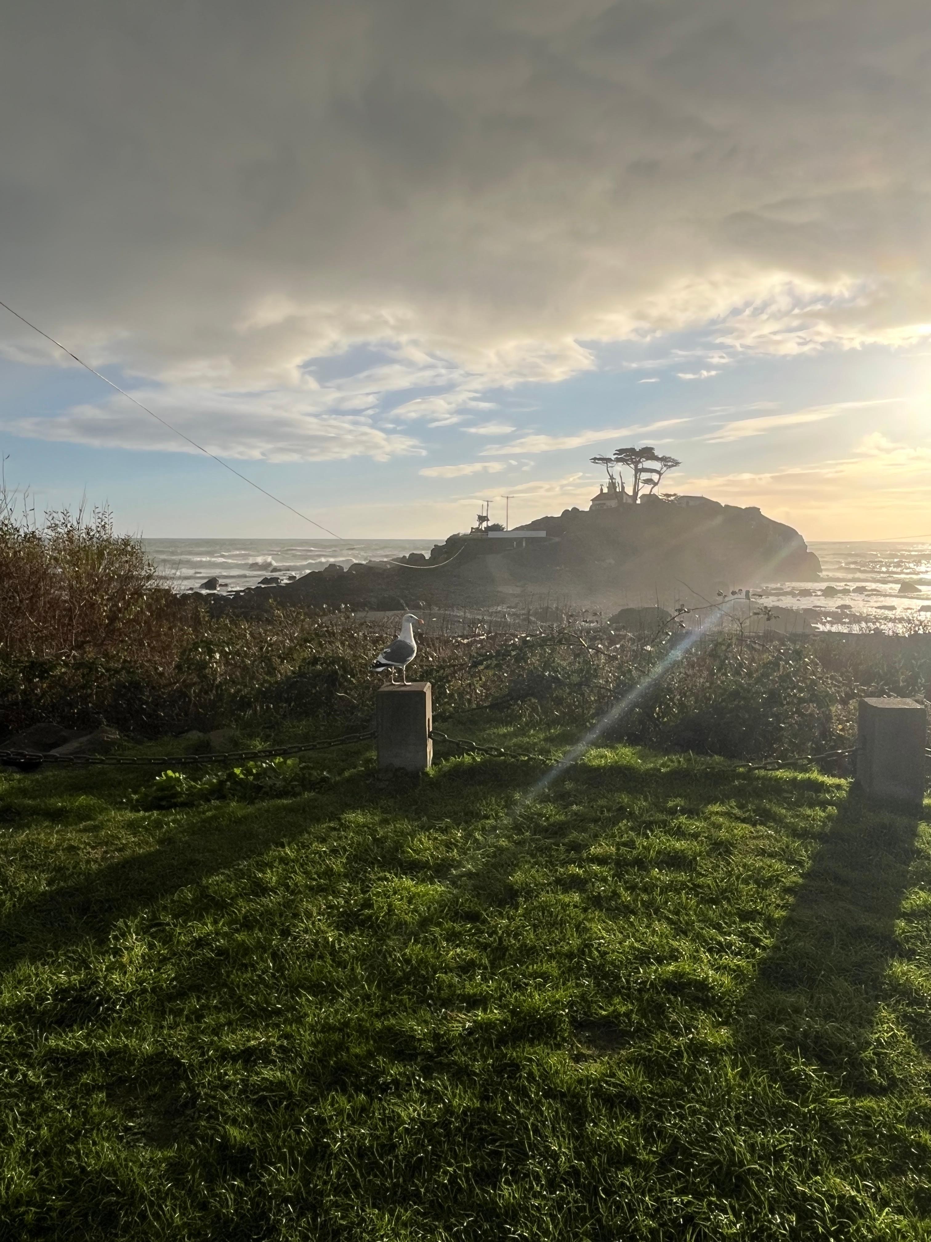 View from across the street