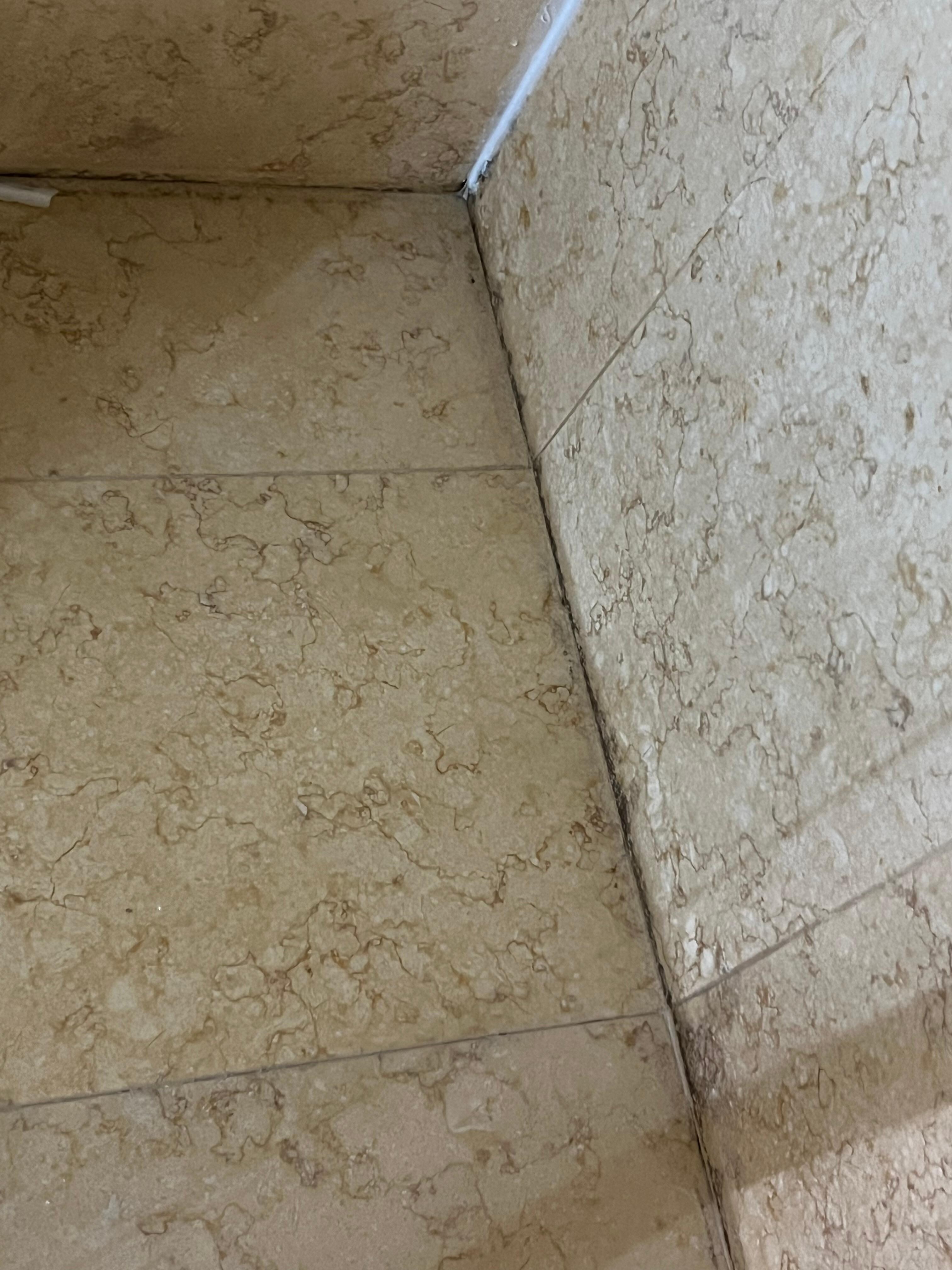 Mold.  Took video of water standing in shower. Unfortunately can’t add. 