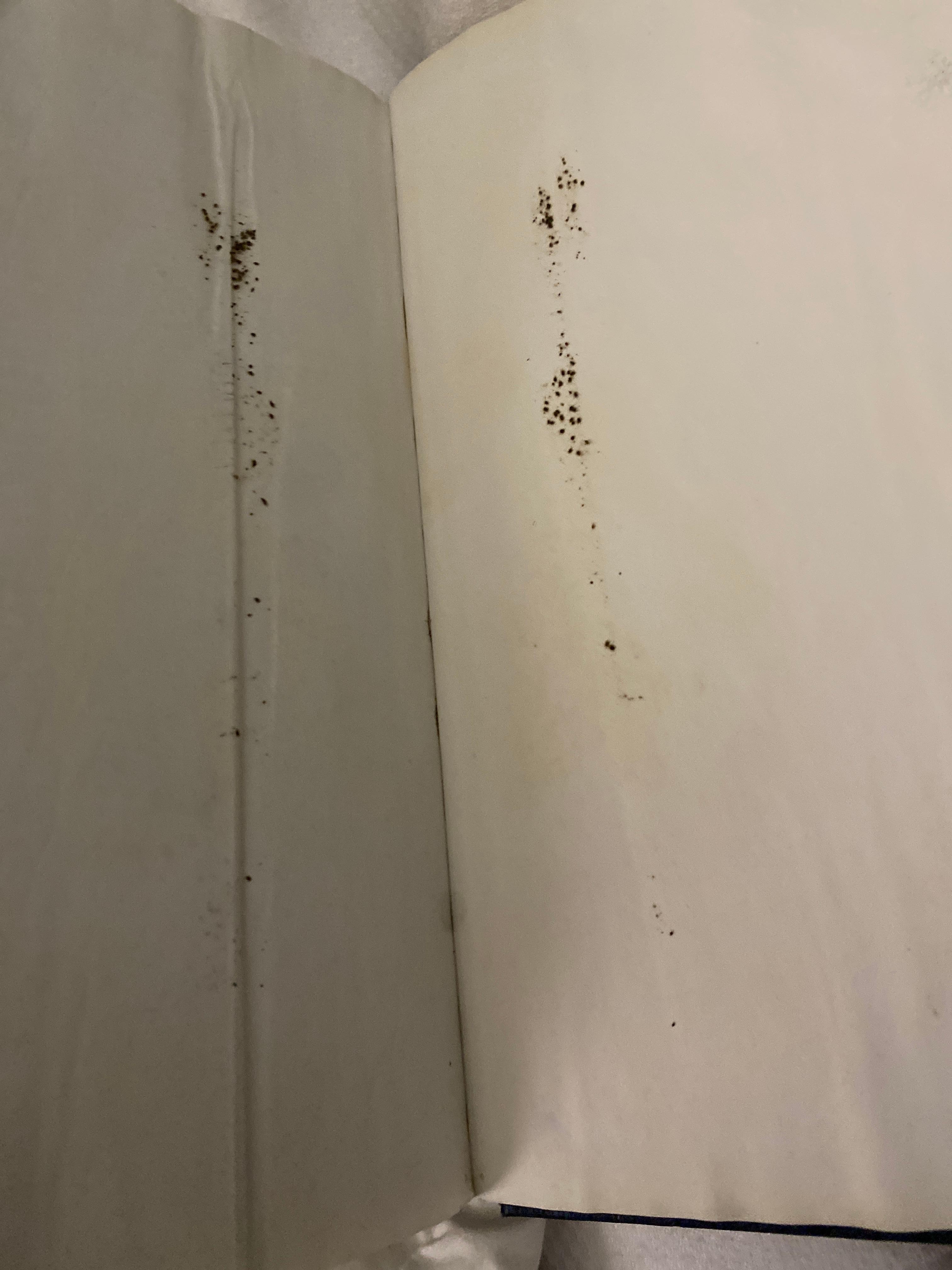 Mold in bible