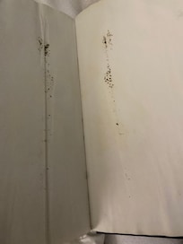 Mold in bible